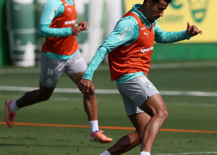 Palmeiras
