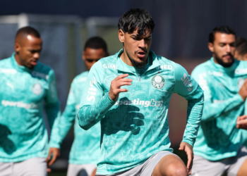 Palmeiras