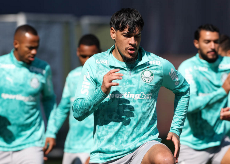 Palmeiras