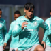 Palmeiras