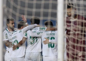 Palmeiras