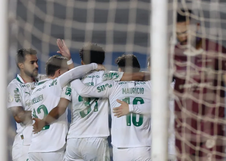 Palmeiras