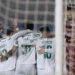 Palmeiras