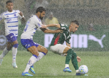Palmeiras