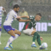 Palmeiras