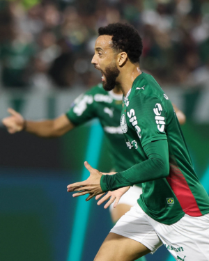 Palmeiras perde dois titulares por lesão