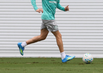 Palmeiras piquerez