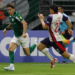 Palmeiras
