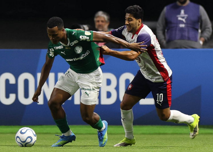 Palmeiras
