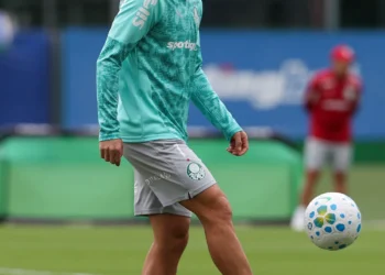 palmeiras