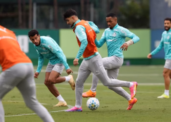 palmeiras