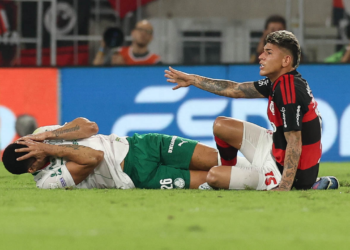 Palmeiras