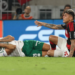 Palmeiras