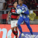 palmeiras