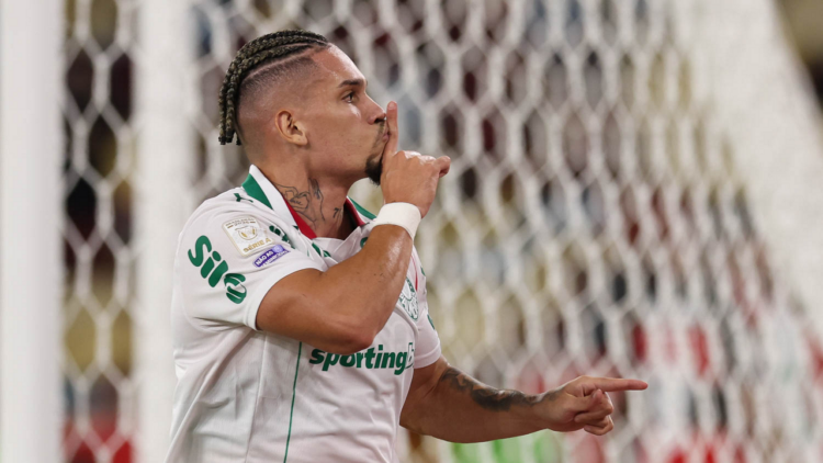 Palmeiras flamengo