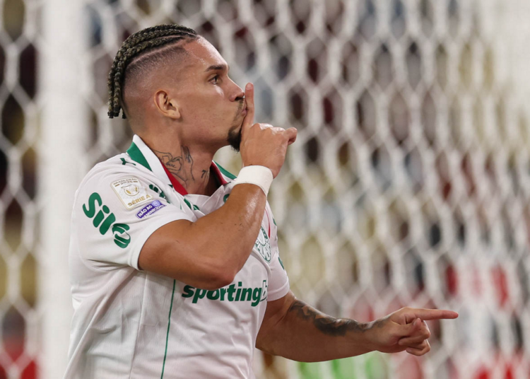 Palmeiras flamengo