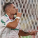 Palmeiras flamengo