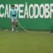 palmeiras