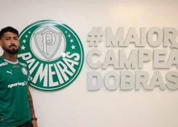 palmeiras