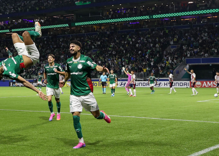 palmeiras