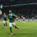 palmeiras