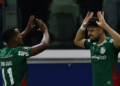 Palmeiras flaco