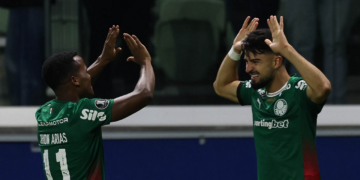 Palmeiras flaco arias