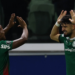 Palmeiras flaco