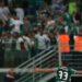 Palmeiras