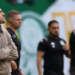Palmeiras