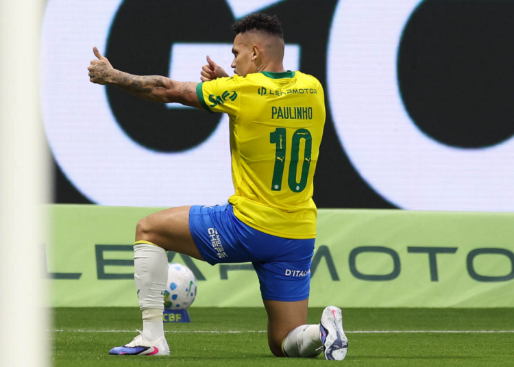 Palmeiras paulinho