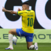 Palmeiras paulinho