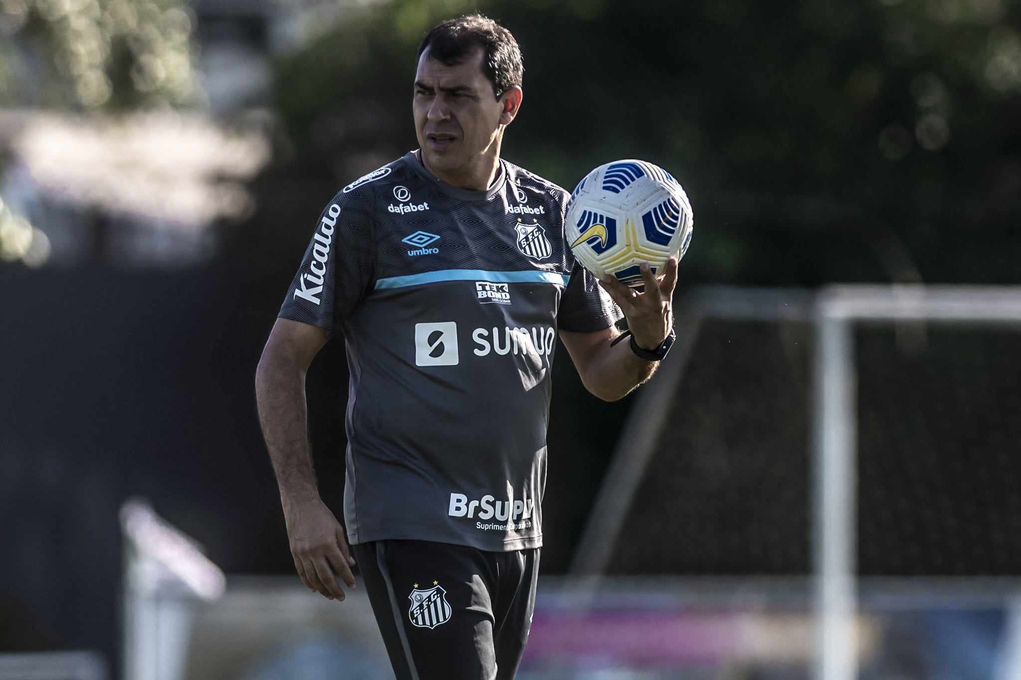 Santos corinthians carille