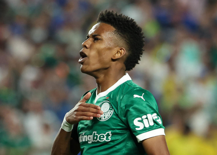 Golden boy palmeiras