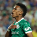 Golden boy palmeiras
