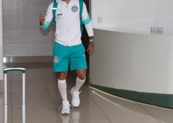 Palmeiras