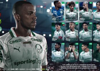palmeiras
