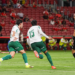 palmeiras