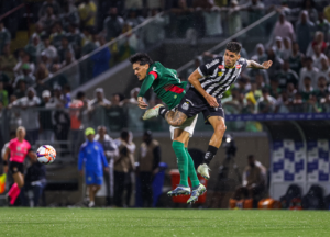 Palmeiras x Santos: Como assistir ao vivo e horário