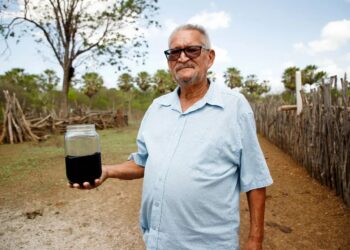 petróleo