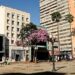 ExaltaSamba e Katinguelê