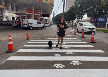 faixa de pedestres
