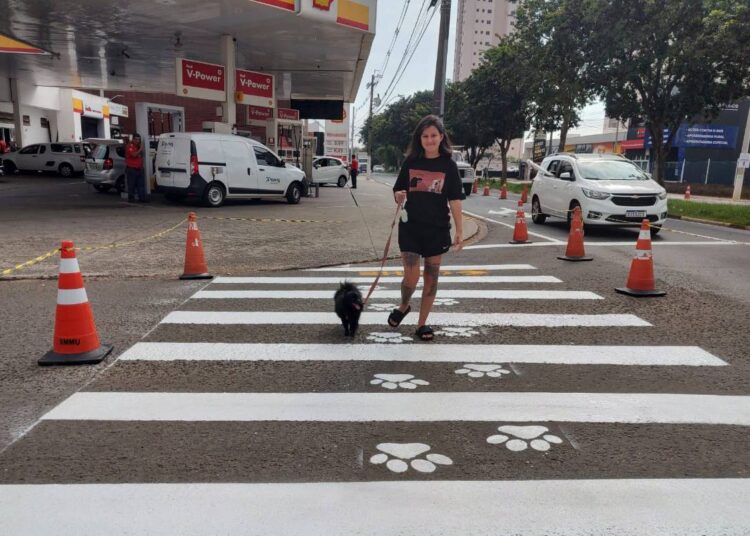 faixa de pedestres