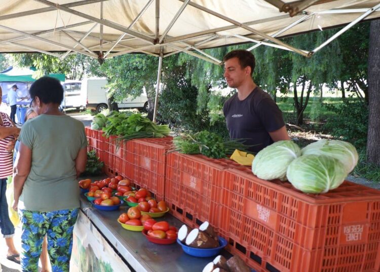 Nova feira-livre no Jardim Adelaide