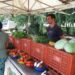 Nova feira-livre no Jardim Adelaide