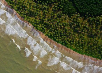 documentário “Mar Brasileiro”