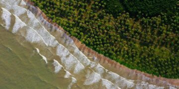 documentário “Mar Brasileiro”