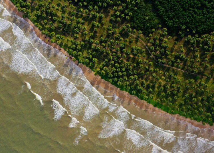 documentário “Mar Brasileiro”