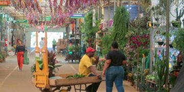 Feira de Noivas no Mercado de Flores