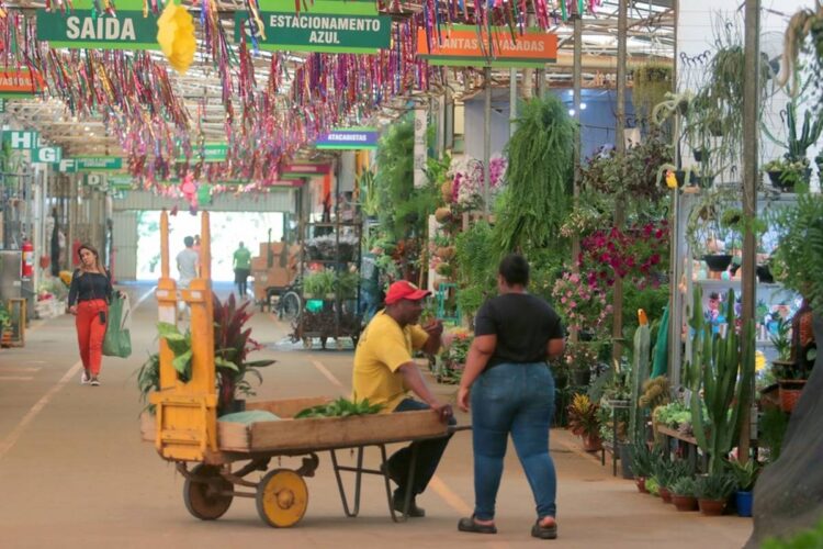 Feira de Noivas no Mercado de Flores